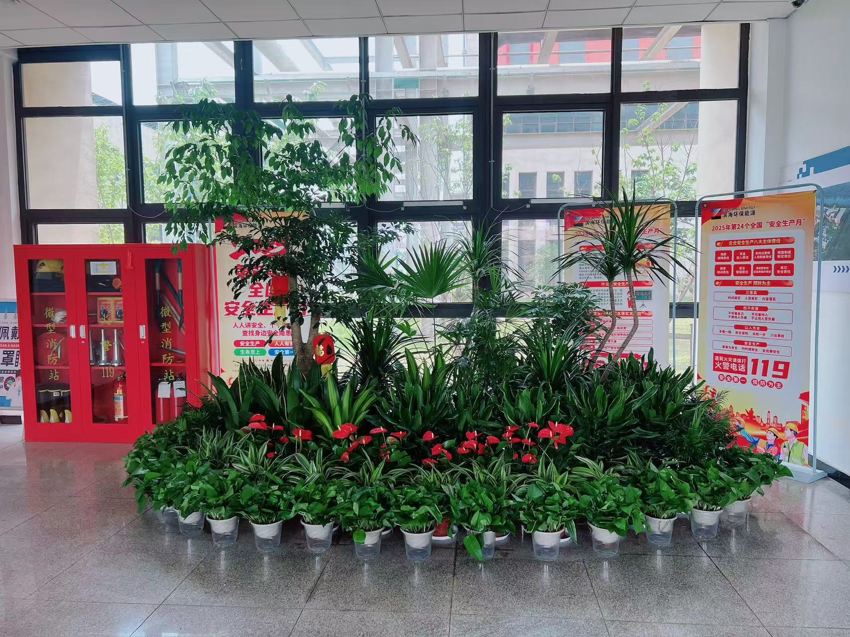 宁波杭州湾花卉租摆哪家靠谱？资深攻略大揭秘！